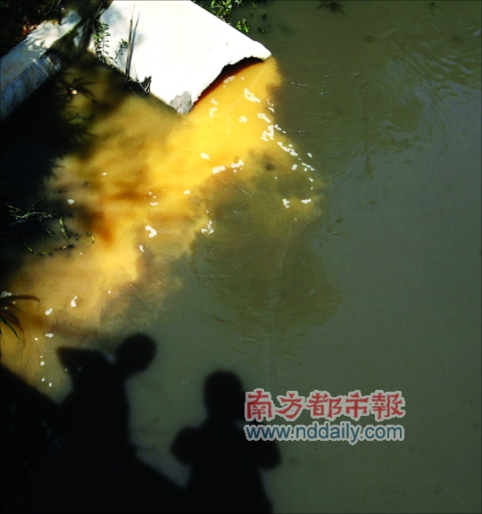 <p>724գĻڹҵСһҵˮӻڵĺˮעɫ޵ˮ</p><p>Ϸձ</p>